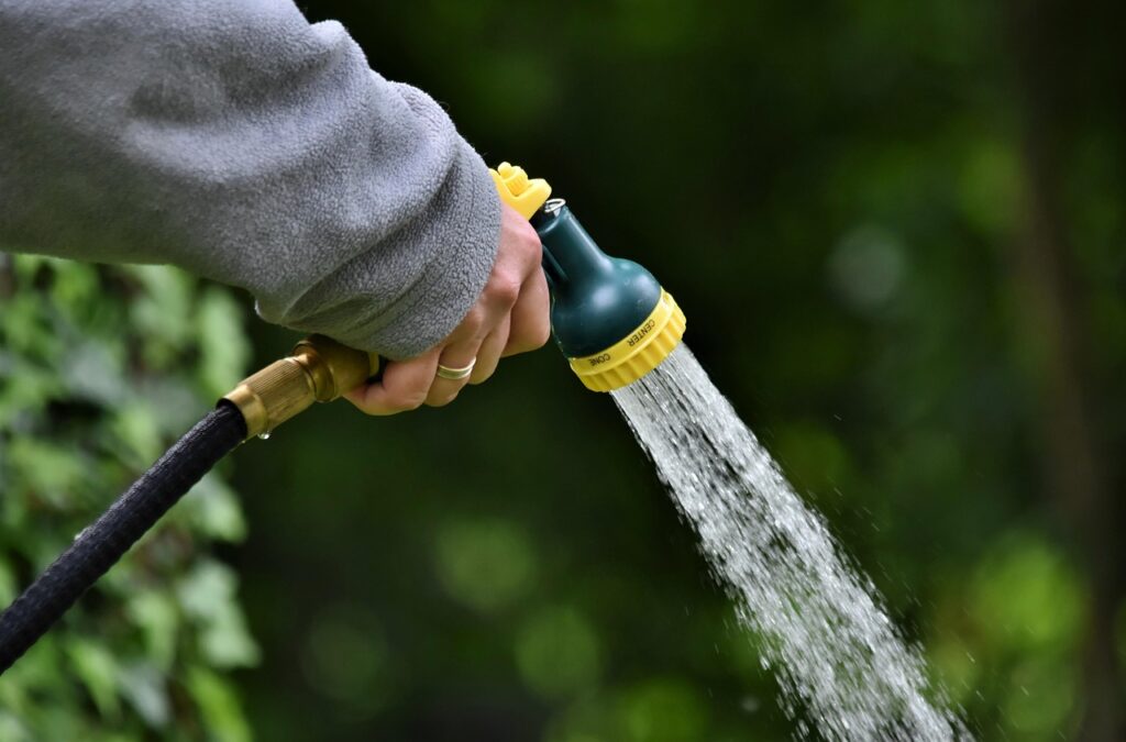 water jet, nature, shower, to water, water, garden, hand, hose